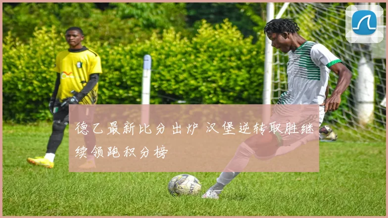 德乙最新比分出炉 汉堡逆转取胜继续领跑积分榜