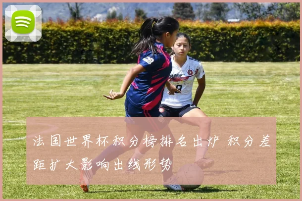 法国世界杯积分榜排名出炉 积分差距扩大影响出线形势