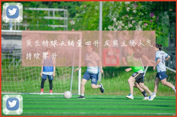莫兰特球衣销量回升 灰熊主场人气持续攀升